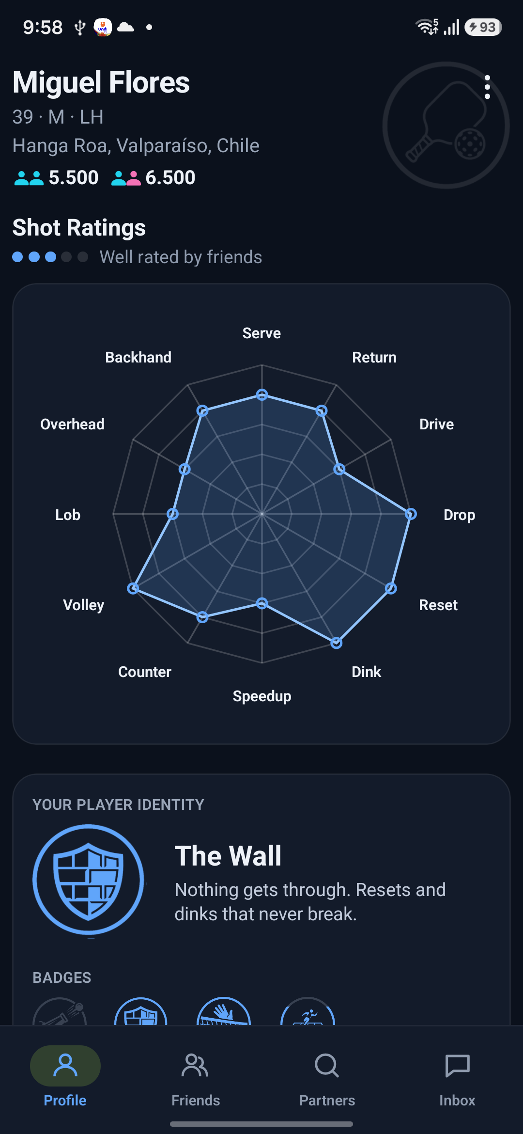 A player profile with the skill radar and player identity